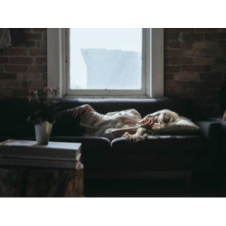 Small Wool Gloves fr-FR